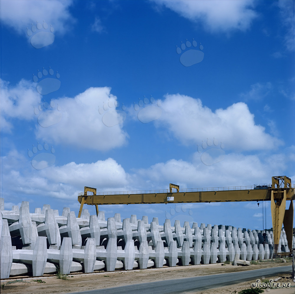 Production et stockage de dolosses au North Breakwater