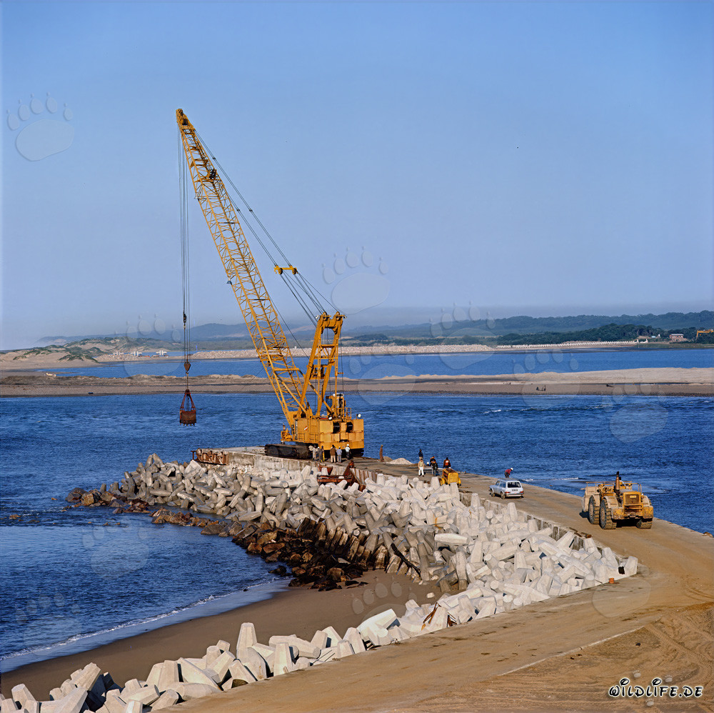 Excavation avec Manitowoc 4600 au North Headland dans le port de Richards Bay, Afrique du Sud