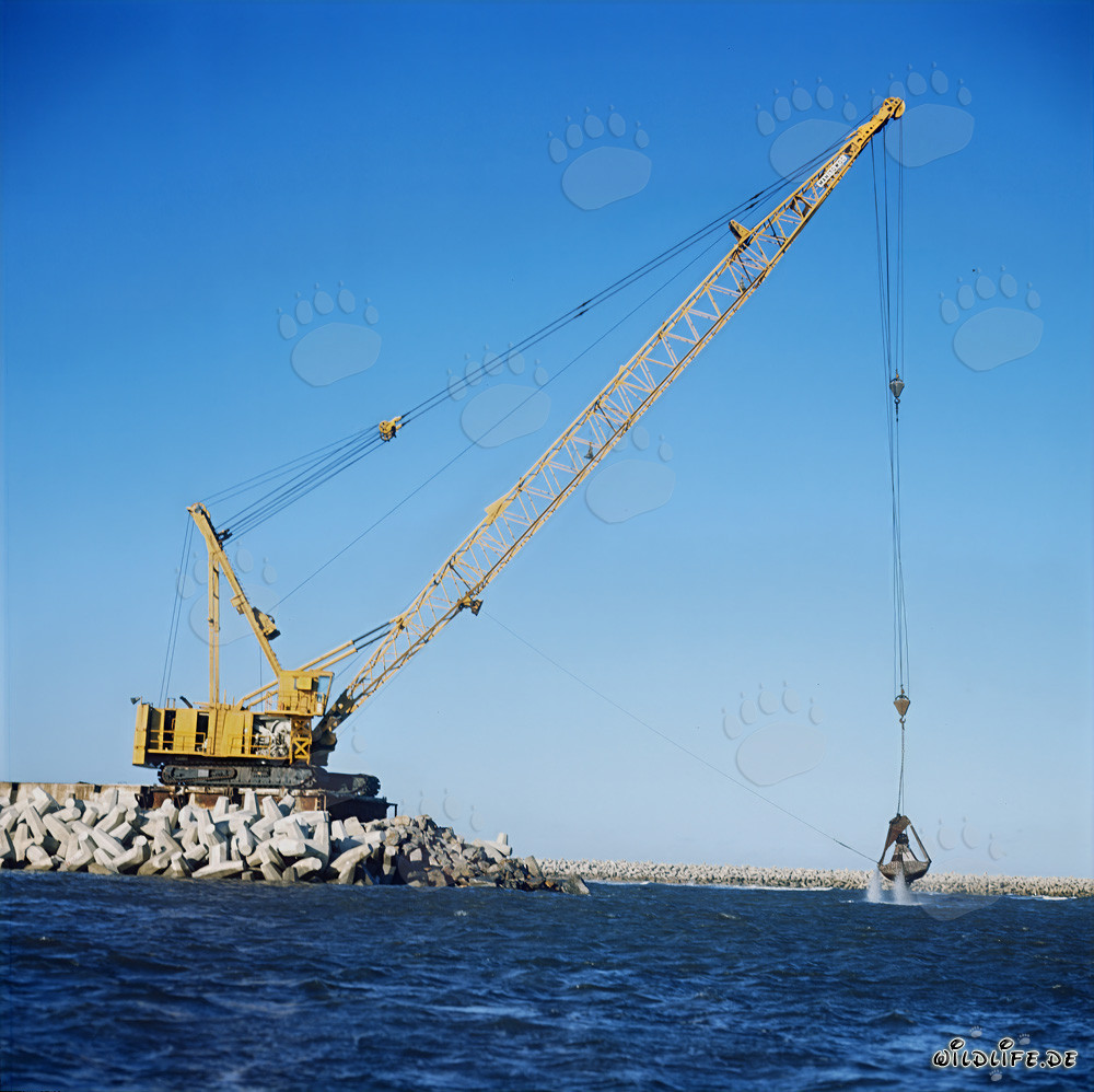 Baggerarbeiten mit Manitowoc 4600 am North Headland
