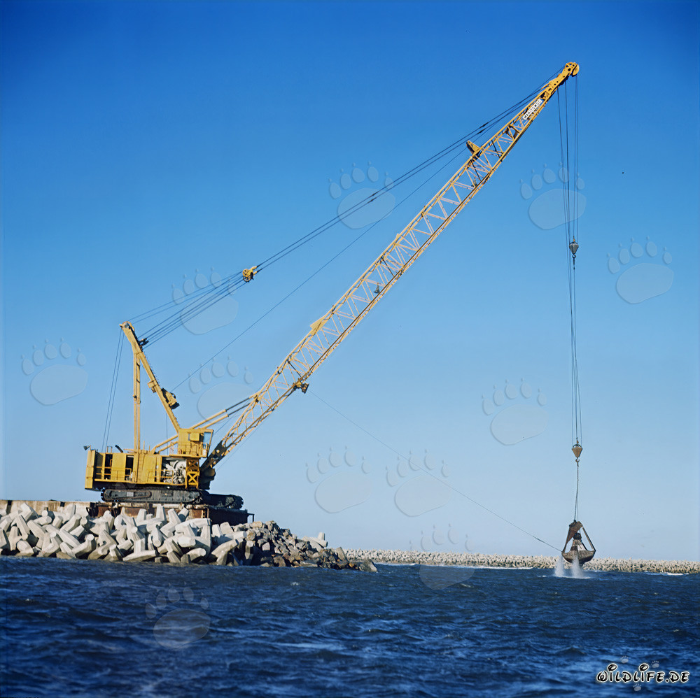 Lavori di scavo con Manitowoc 4600 a North Headland