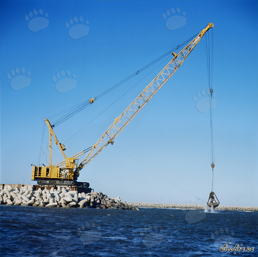 Trabajos de excavación con Manitowoc 4600 en North Headland