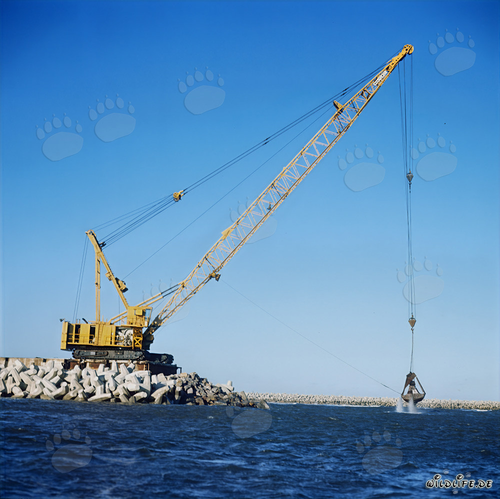 Travaux de terrassement avec Manitowoc 4600 au North Headland