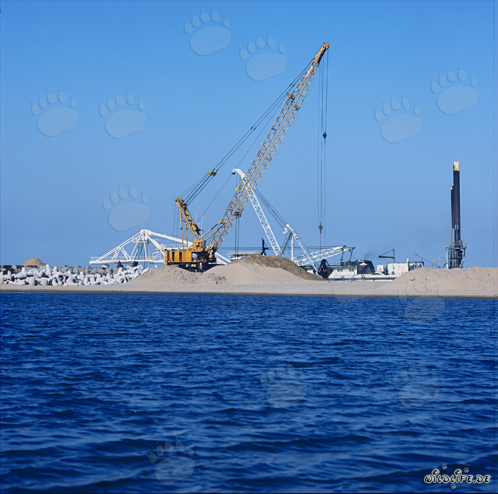Dragaggio con Manitowoc 4600 a North Headland a Richards Bay, Sudafrica