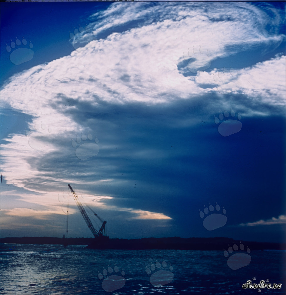 Tormenta inminente en el rompeolas del Norte