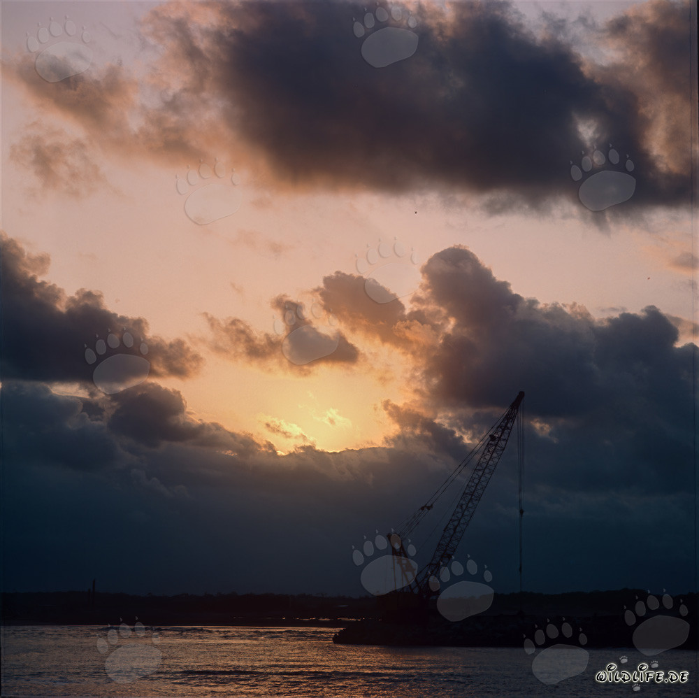Ambiance dramatique de nuages au North Breakwater