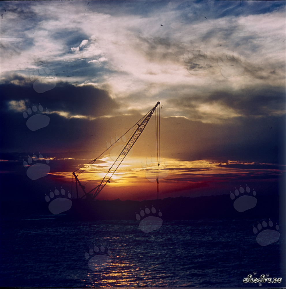 Puesta de sol dramática en el North Breakwater en Richards Bay