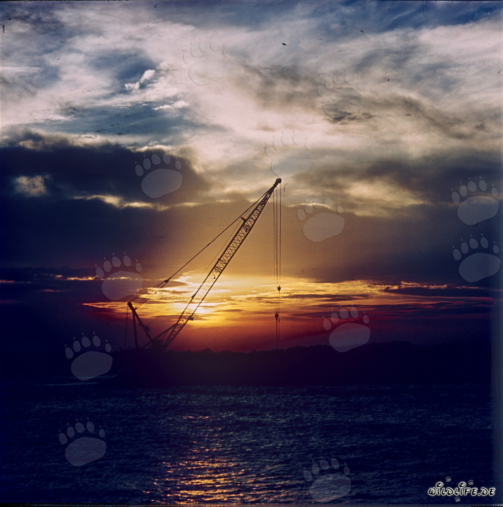Dramatischer Sonnenuntergang am North Breakwater in Richards Bay