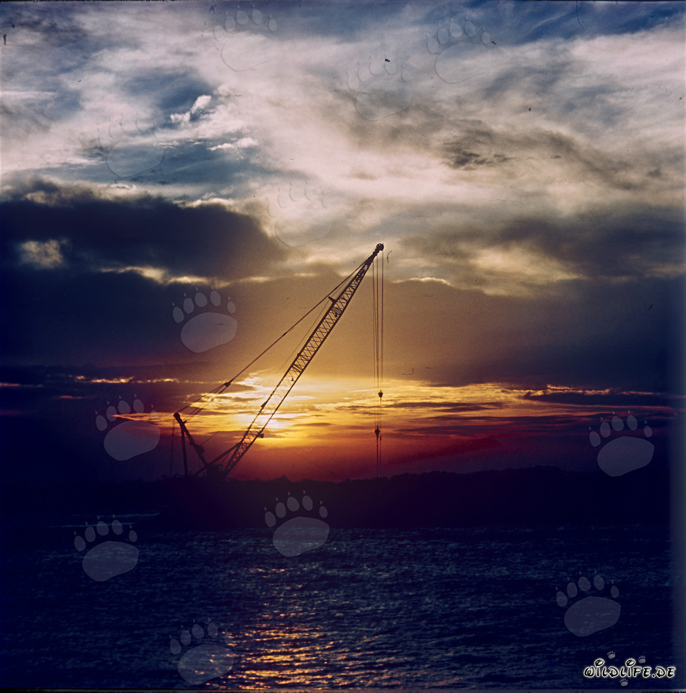 Tramonto drammatico al North Breakwater a Richards Bay