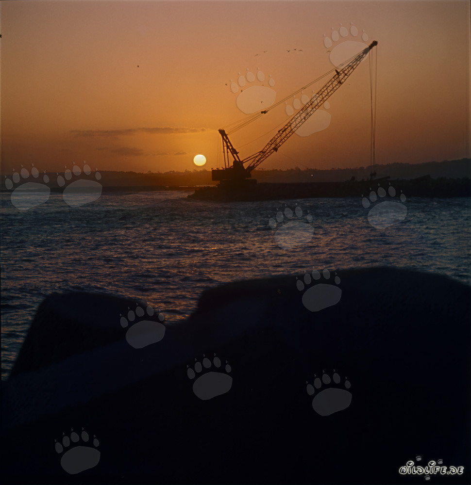 Coucher de soleil fascinant au cap Nord