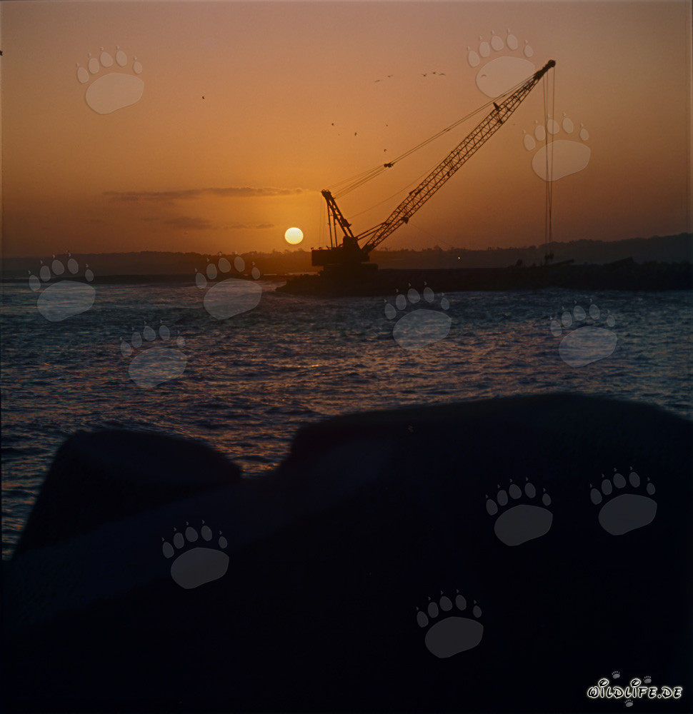 Faszinierender Sonnenuntergang am North Headland