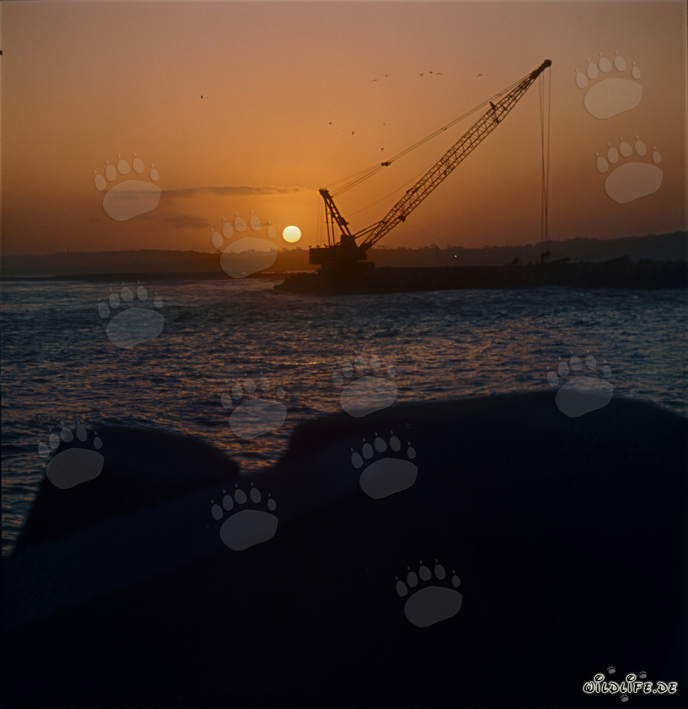 Affascinante tramonto al North Headland