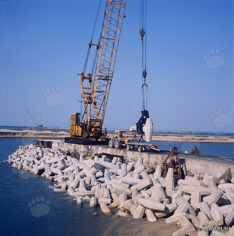 Manitowoc 4600 place des Dolosse au North Headland