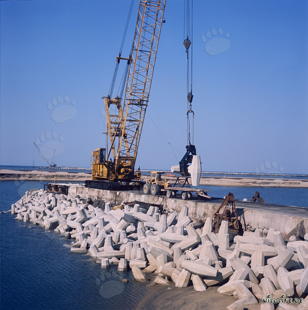 Manitowoc 4600 placing dolosse on North Headland