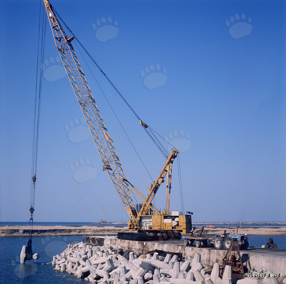 Placing dolosse on North Headland in Richards Bay Harbour