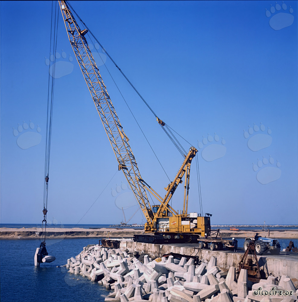 Placing dolosse on North Headland in Richards Bay