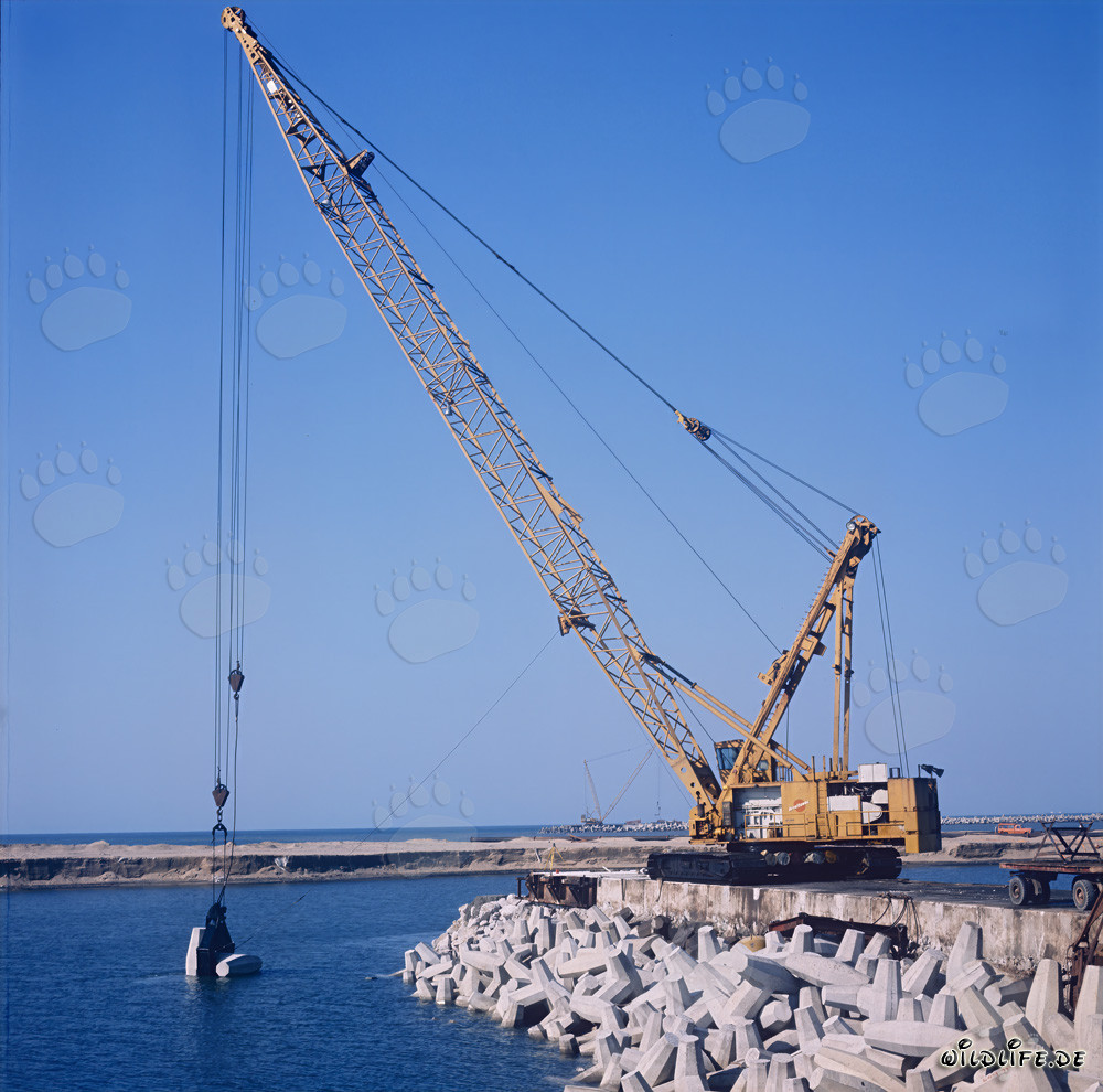 Colocación de dolosos con Manitowoc 4600 en el puerto de Richards Bay, Sudáfrica