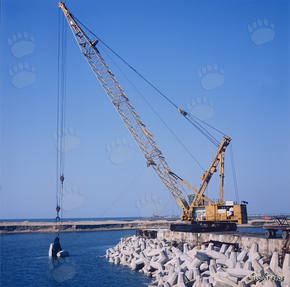 Placing dolosse with Manitowoc 4600 in Richards Bay Harbor, South Africa