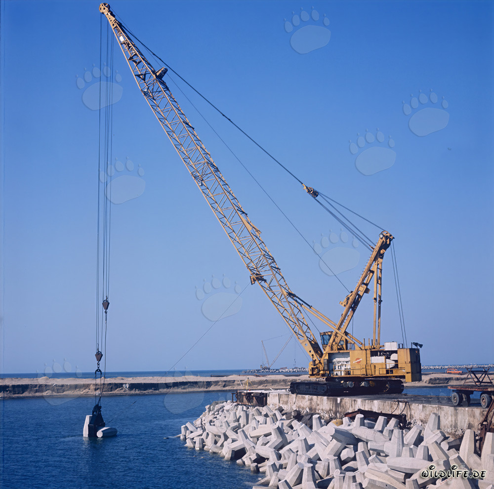 Posa di dolosse con Manitowoc 4600 nel porto di Richards Bay, Sudafrica