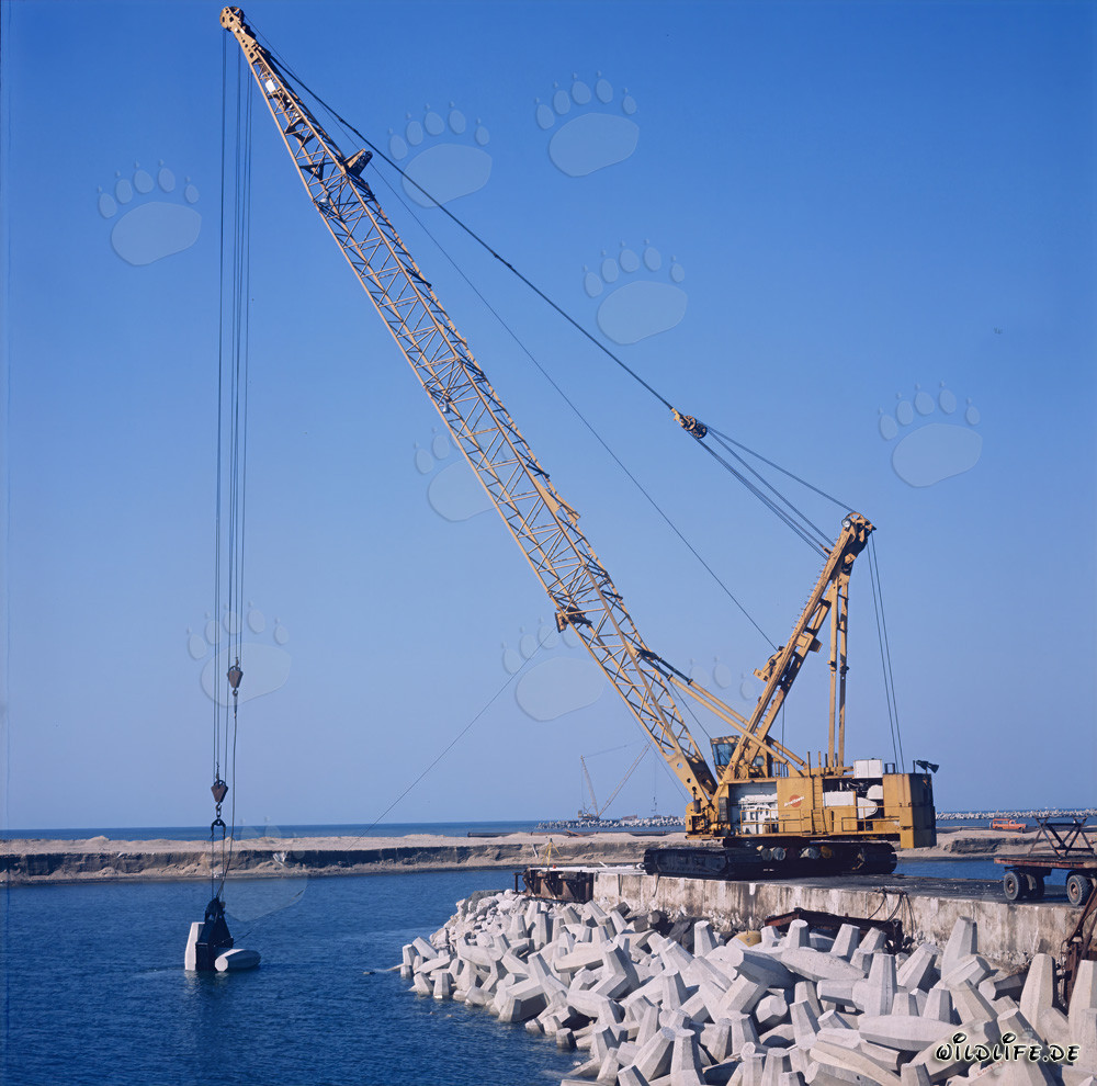 Pose de dolosses avec Manitowoc 4600 au port de Richards Bay, Afrique du Sud