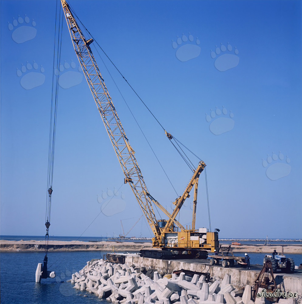 Placing dolosse on North Headland in Richards Bay, Natal, South Africa