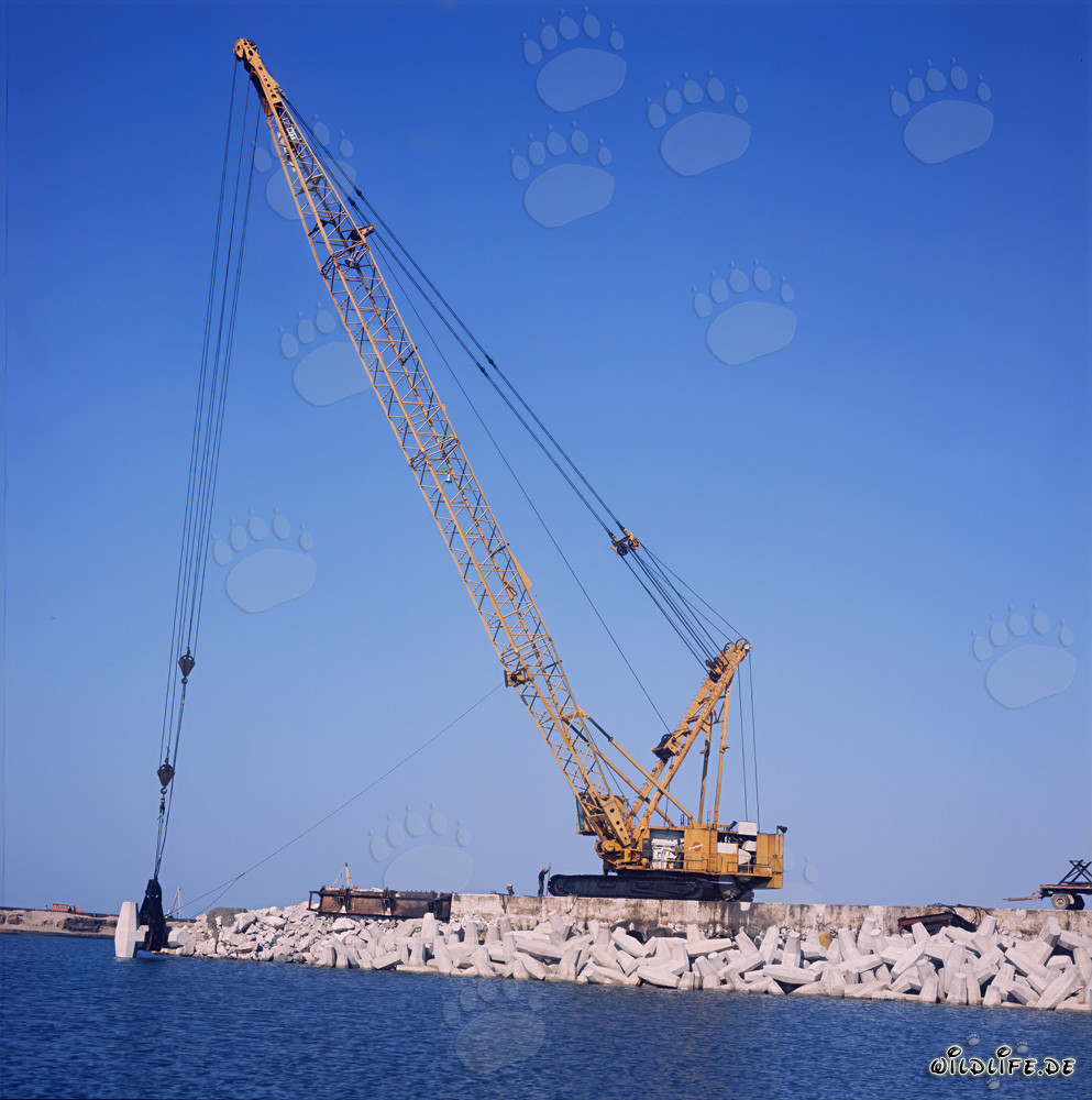 Placing dolosse to secure the harbor at North Headland in Richards Bay, Natal, South Africa
