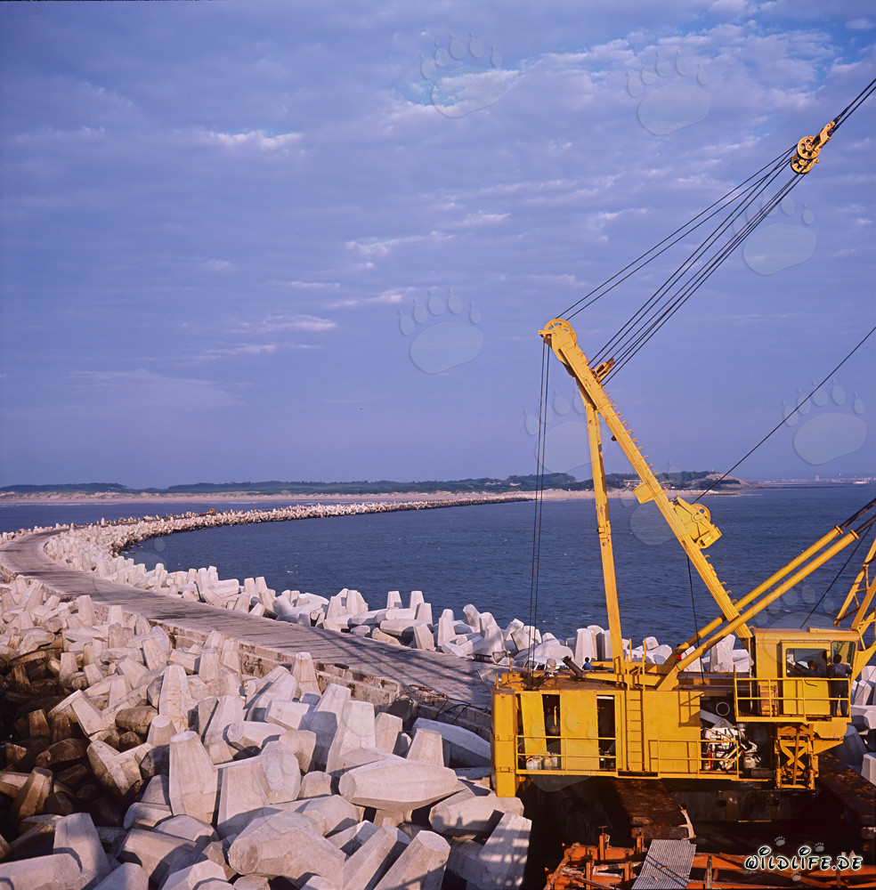 Placing Dolosse on North Headland in Richards Bay, South Africa