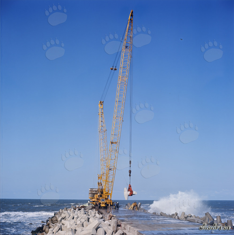 Posa dei dolos sul frangiflutti meridionale con Manitowoc 4100 R