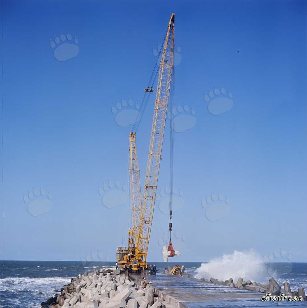 Colocación de dolos en el rompeolas sur con Manitowoc 4100 R