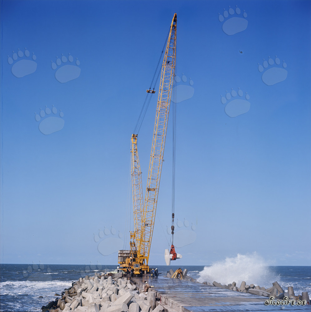Placing dolosse on South Breakwater with Manitowoc 4100 R