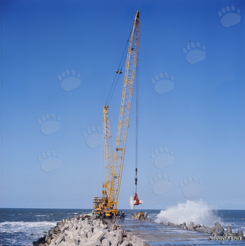 Pose de dolosses sur la brise-lames sud avec Manitowoc 4100 R