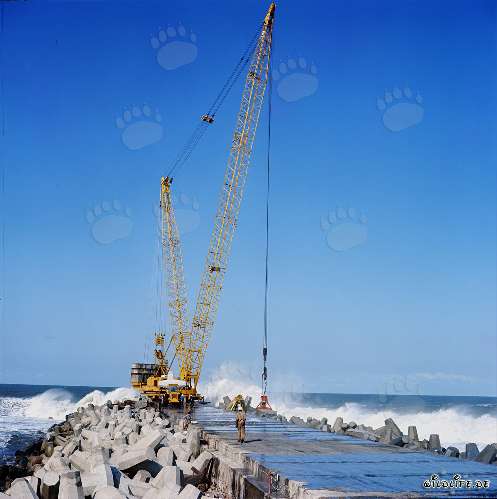 Placing dolosse on South Breakwater in Richards Bay, South Africa