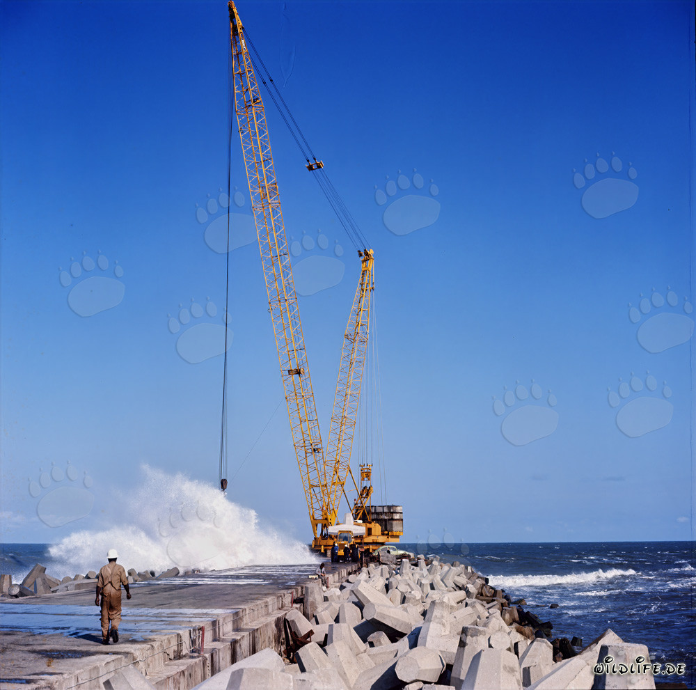 Colocación de dolos en el rompeolas sur de Richards Bay, Natal, Sudáfrica