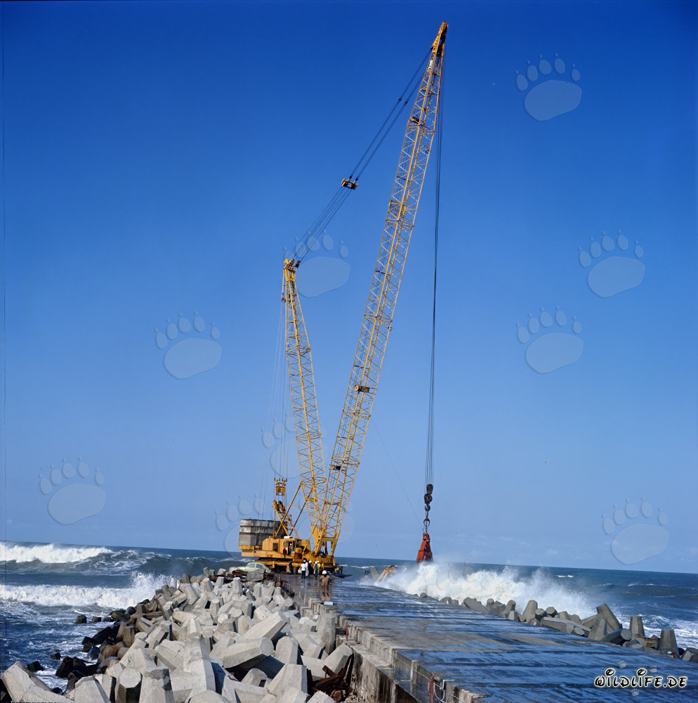 Colocación de dolos en el rompeolas sur de Richards Bay, Sudáfrica