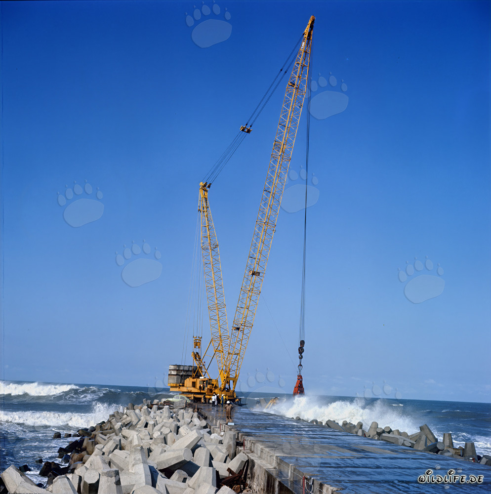 Placing dolosse on South Breakwater in Richards Bay, South Africa