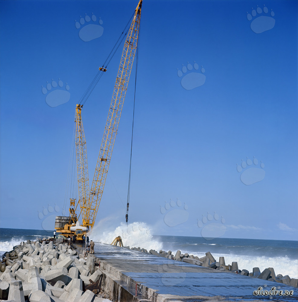 Placing dolosse on South Breakwater in Richards Bay, South Africa
