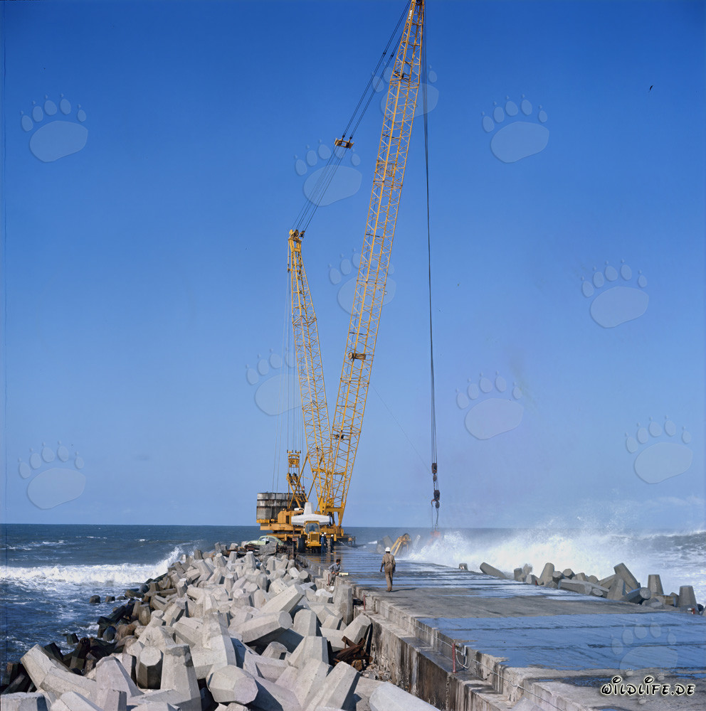 Installation von Dolossen am Südmolenkopf