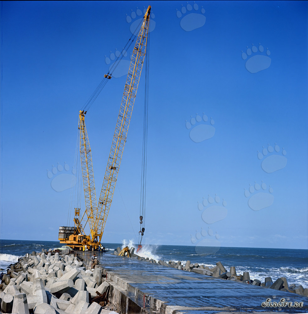 Posizionamento dei dolos sul frangiflutti meridionale con Manitowoc 4100 R