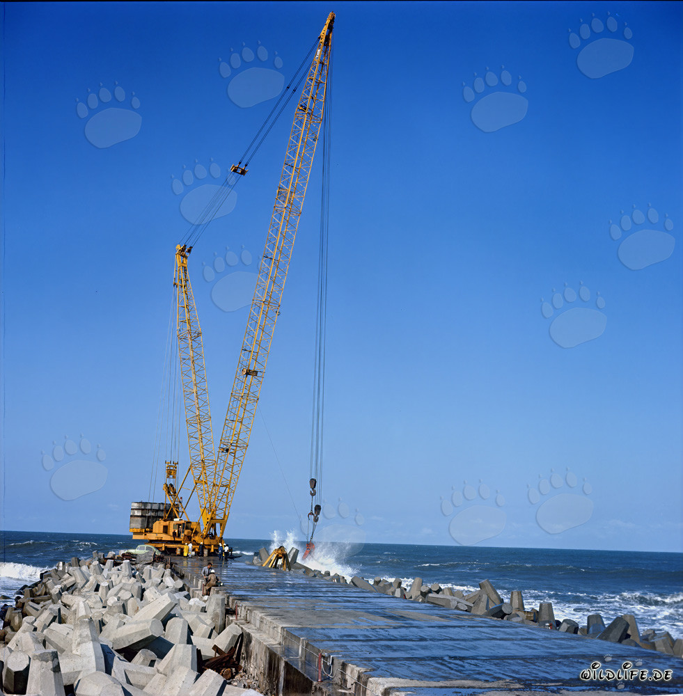 Colocación de dolos en el rompeolas sur con Manitowoc 4100 R