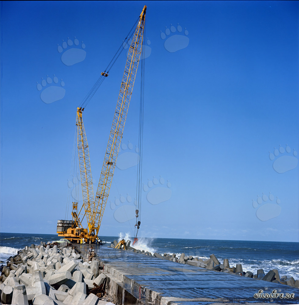 Placing dolosse on South Breakwater with Manitowoc 4100 R