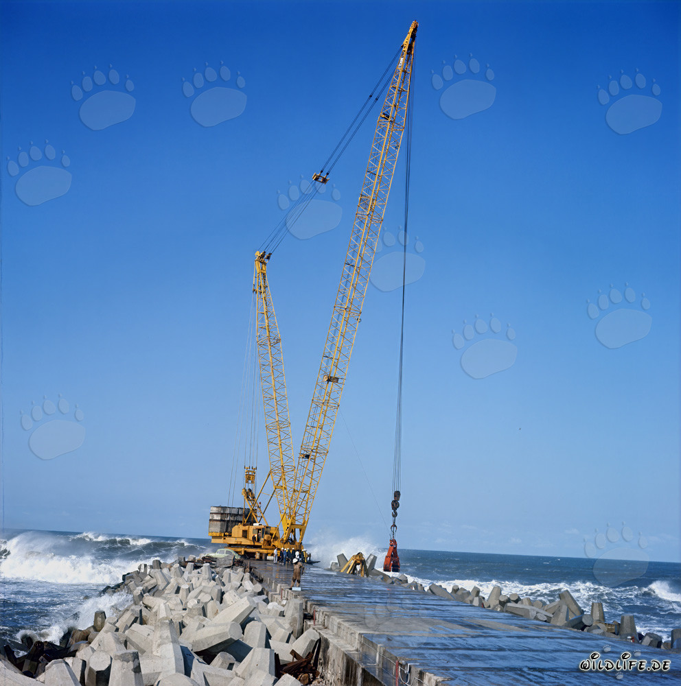 Posizionamento dei dolos al South Breakwater a Richards Bay