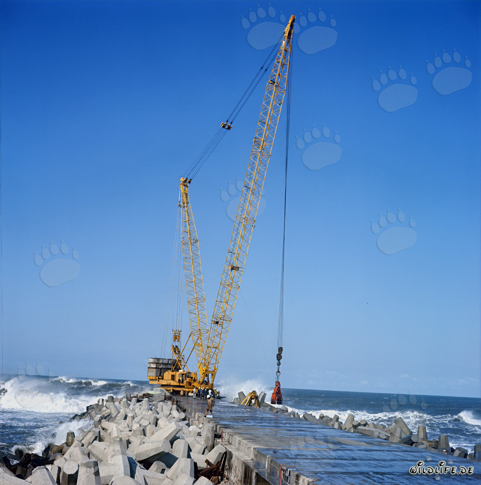 Platzierung von Dolossen am South Breakwater in Richards Bay