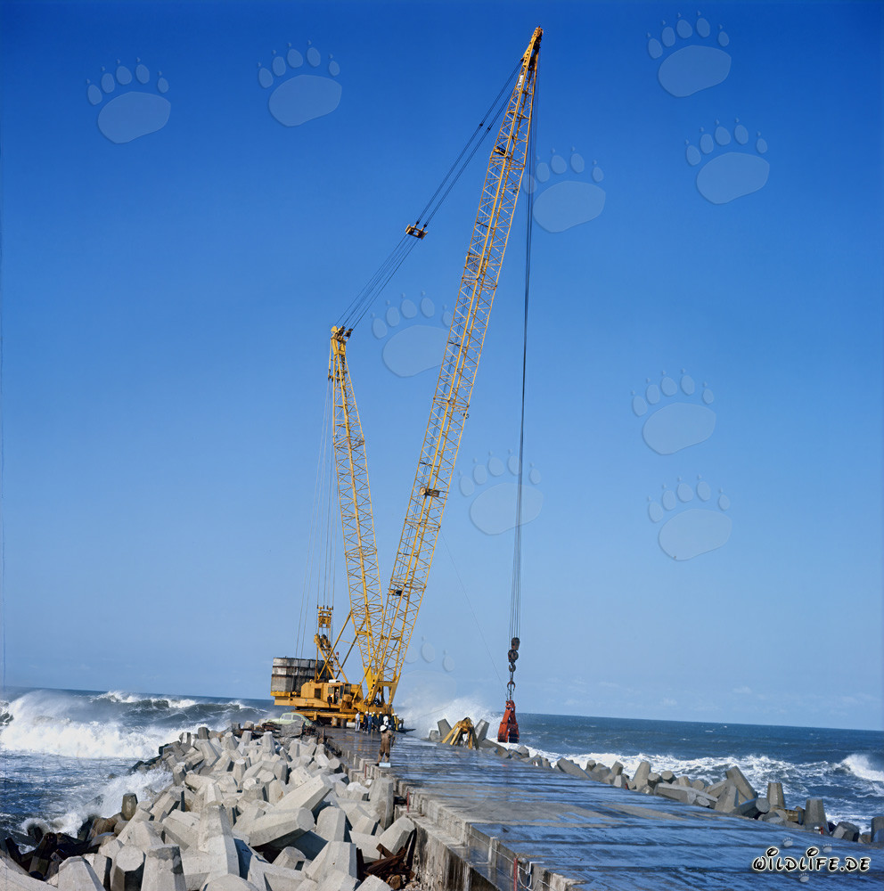 Placing dolosse on South Breakwater in Richards Bay