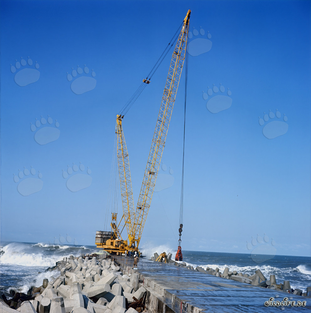Installation de dolosses sur le South Breakwater à Richards Bay