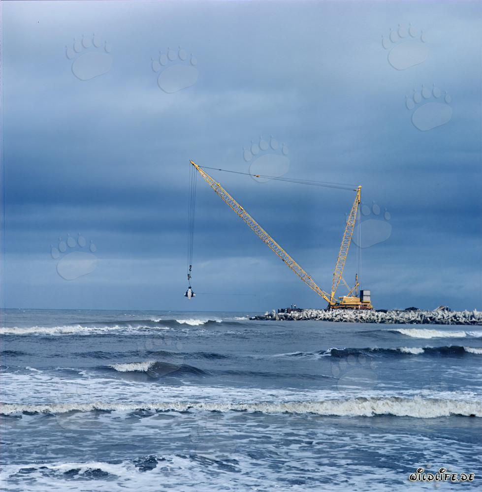 Posa di dolos sul molo meridionale di Richards Bay, Sudafrica