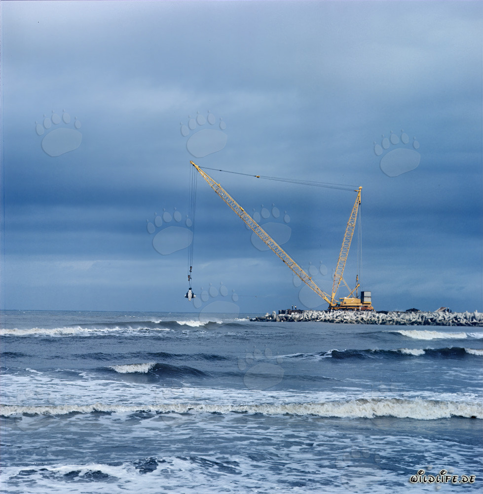 Colocación de dolos en el rompeolas sur de Richards Bay, Sudáfrica