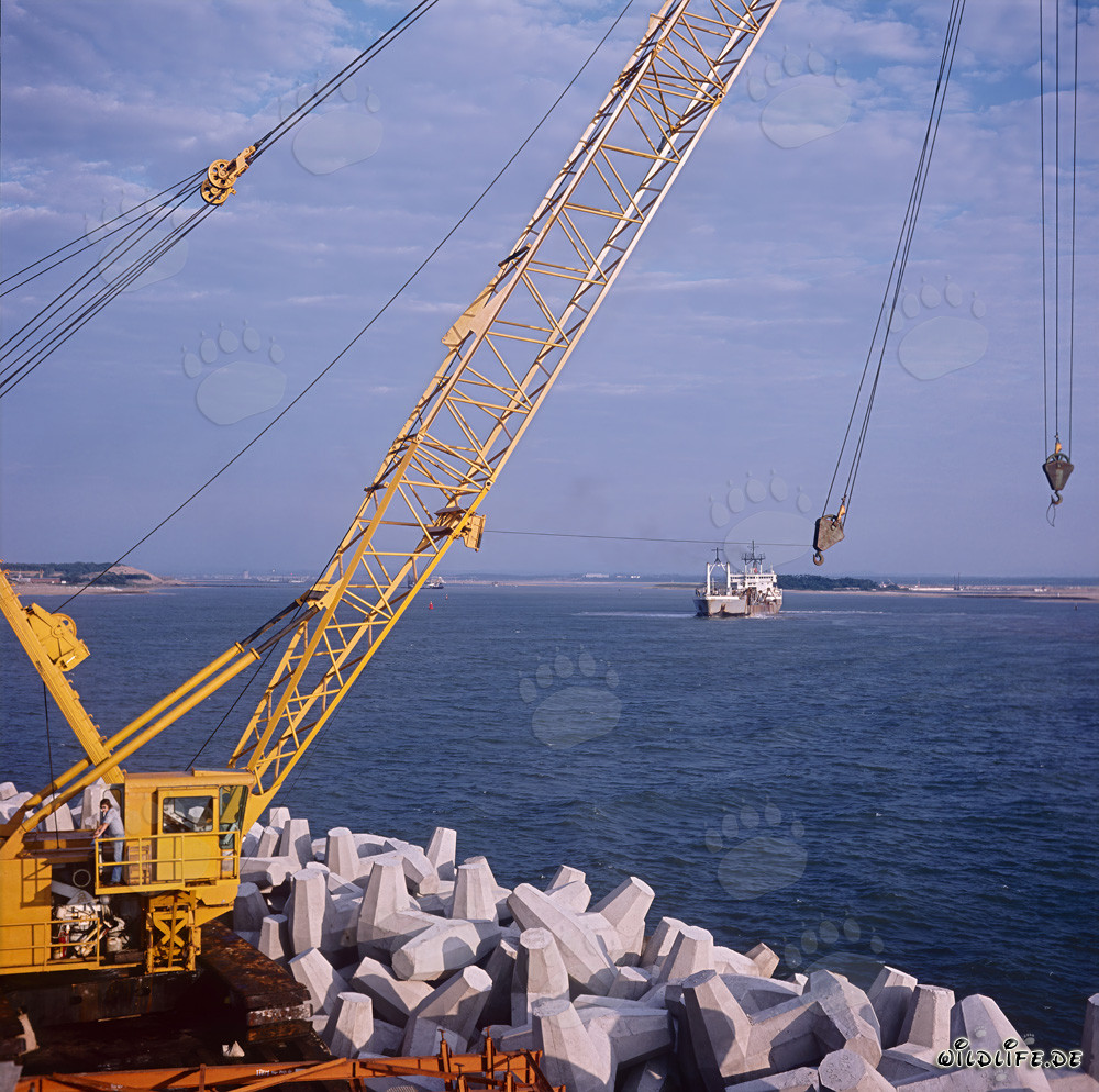 Manitowoc 4600 at North Breakwater in Richards Bay