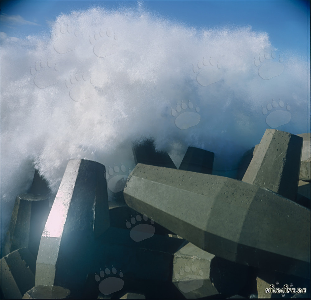 I dolos proteggono il North Breakwater dalle onde tumultuose a Richards Bay