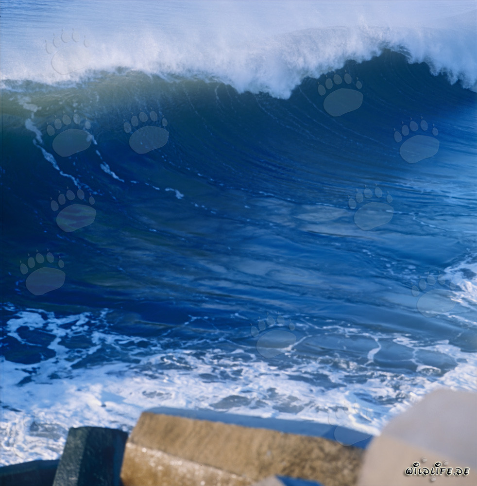 Dangerous sea at North Breakwater