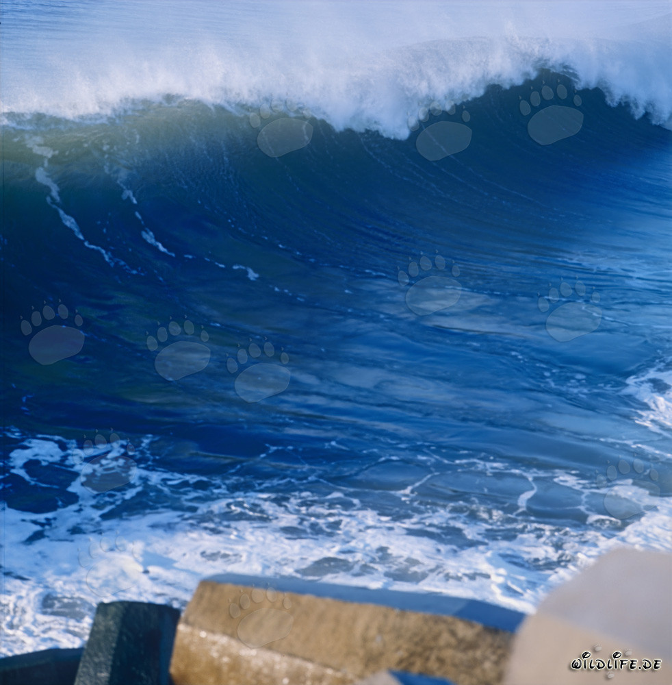 Mar peligroso en el rompeolas norte de Richards Bay