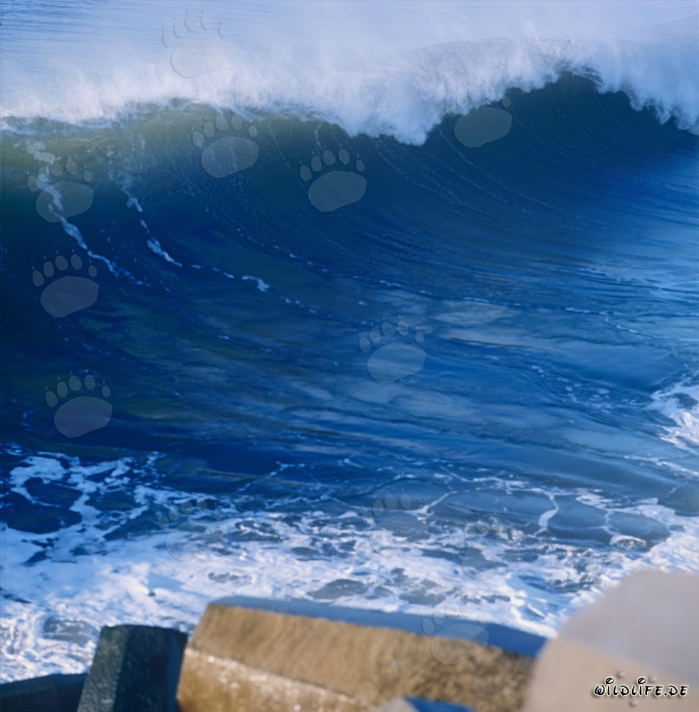 Mer dangereuse au brise-lames nord de Richards Bay